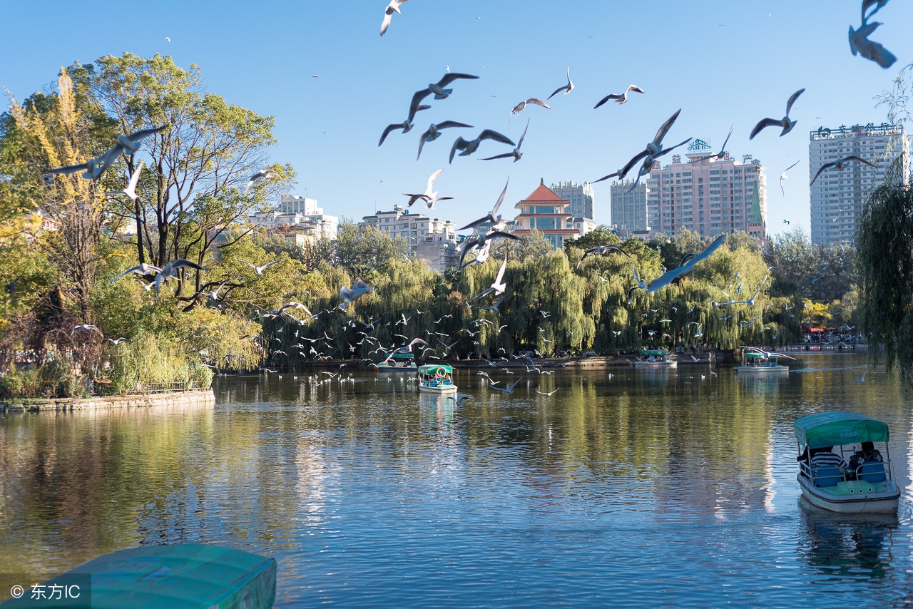 2023年昆明房屋成交数据,2023年昆明商品房平均价是多少