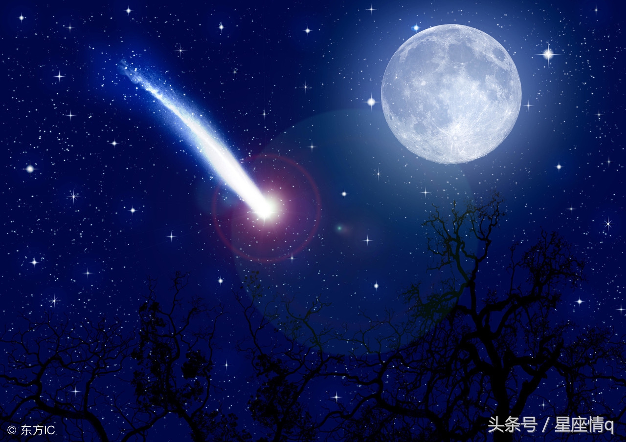 十二星座里很难向生活认输的星座,十二星座遇到啥星座才可以收心