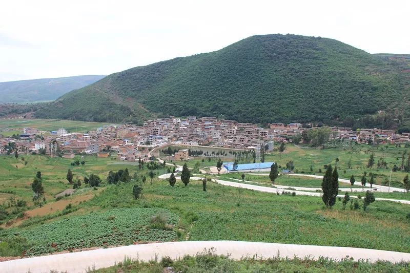 「发现」跳上生态旅游的“舞台”——看泸西阿平村如何美丽嬗变~