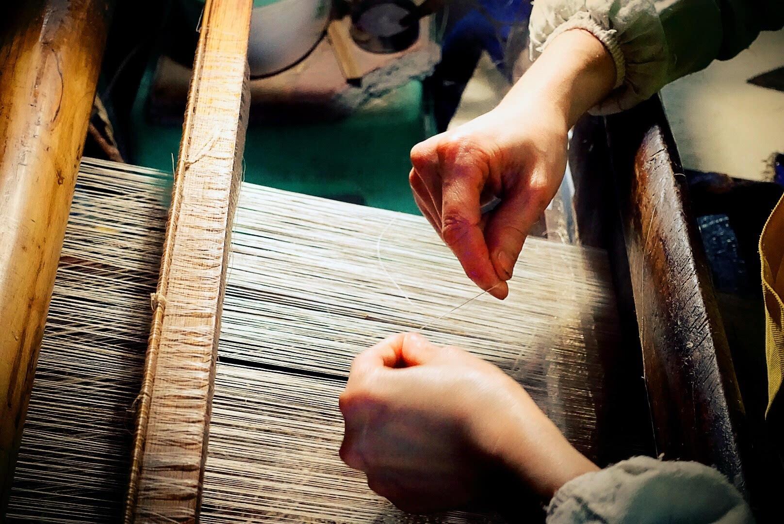 涤纶锦纶醋酯纤维区别,面料中的醋酯纤维是什么