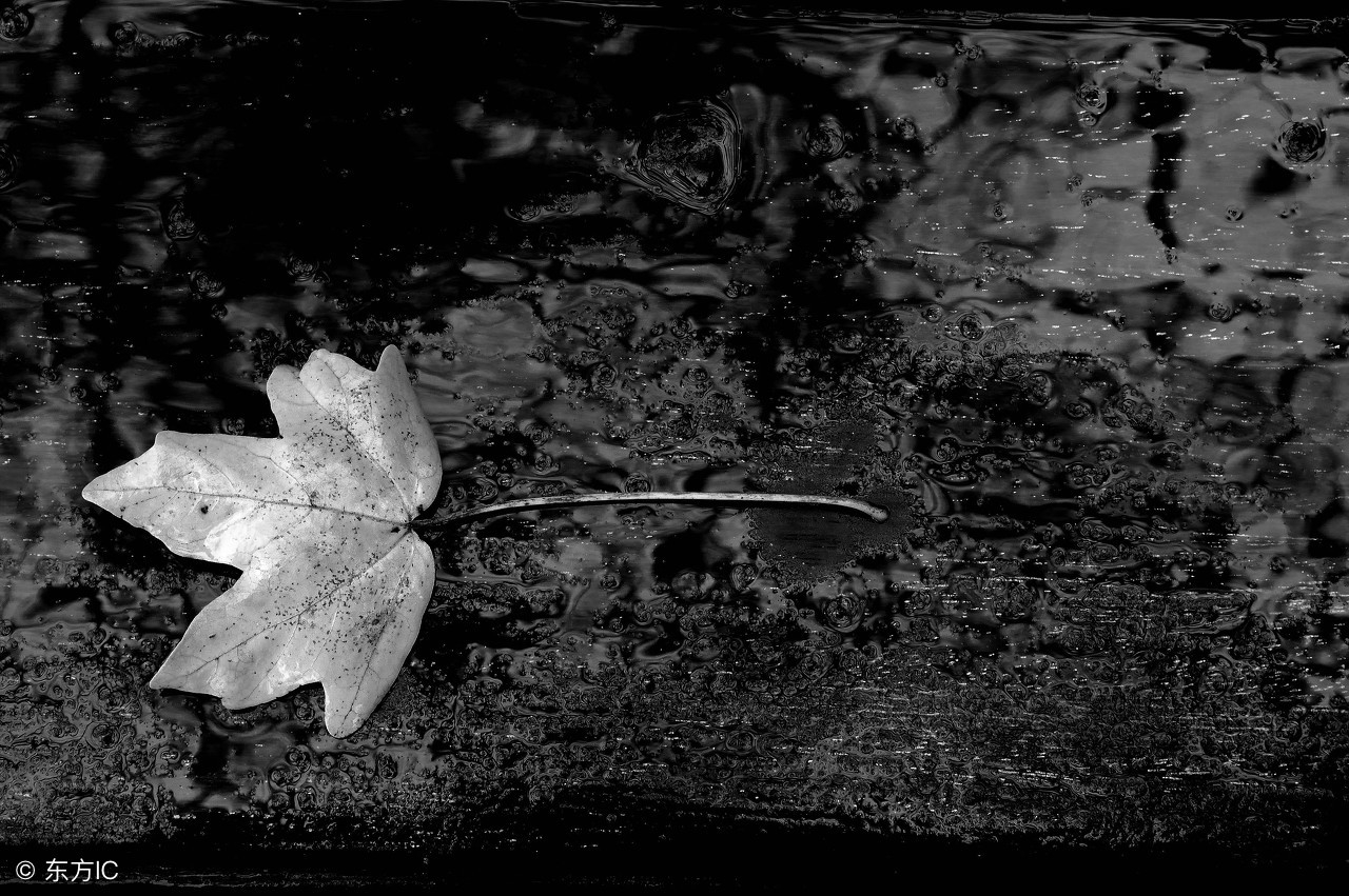 故事：我天生命薄，姥姥年年为我烧替身，拜堂口，收兵马