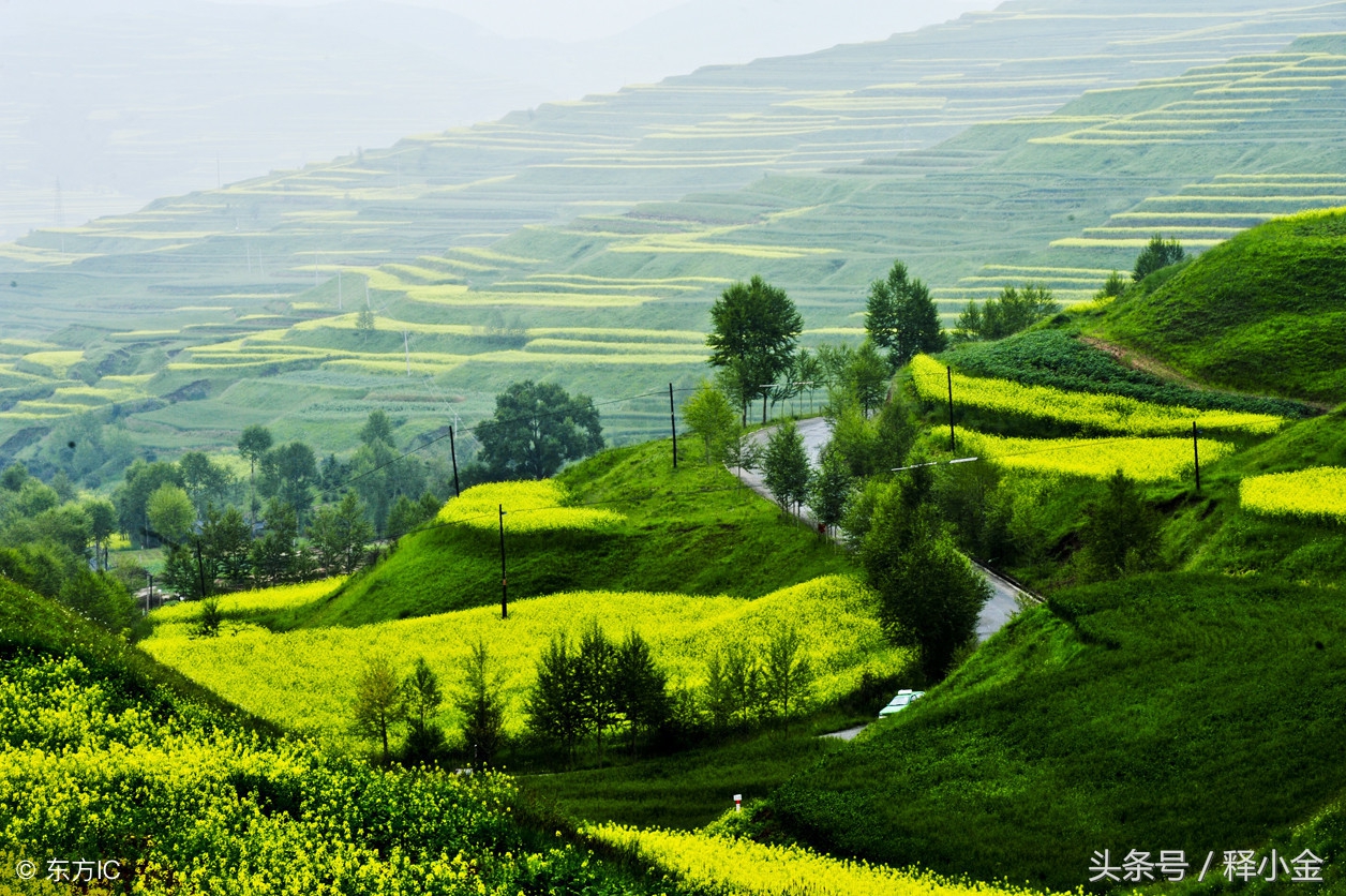 踢球全是假动作,踢球难免有失误