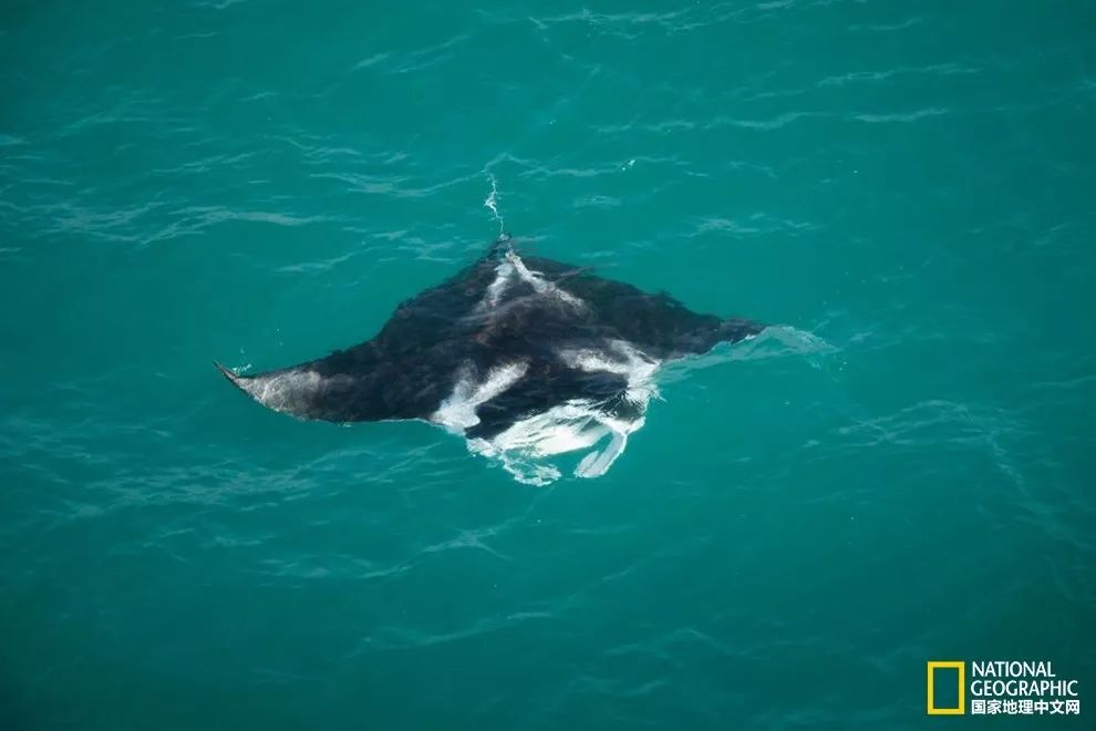 遗世独立，提维群岛｜我敬你是片世外天堂！