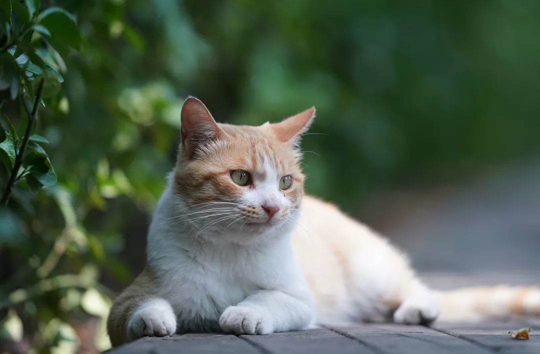 有了它再也不担心熬夜,有了它不愁吃不愁穿