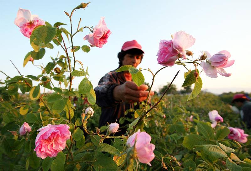 护肤界的万金油,精油认识一下