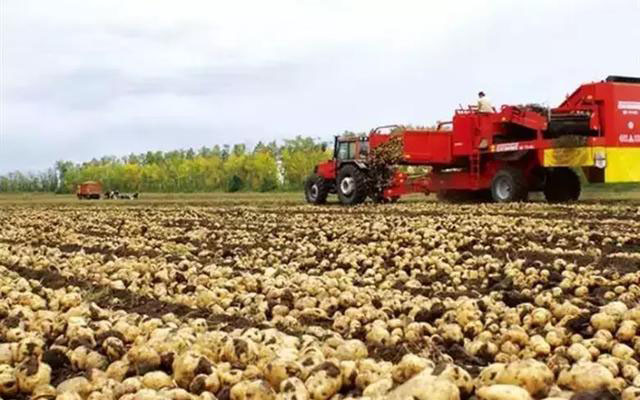 磷酸二氢钾在农作物的使用方法 (磷酸二氢钾各种作物怎么使用)