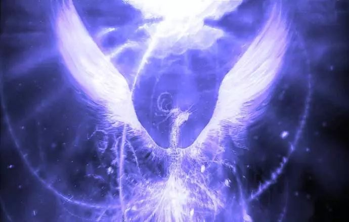 美丽的灵魂来源于善良的心,美丽人生活在当下