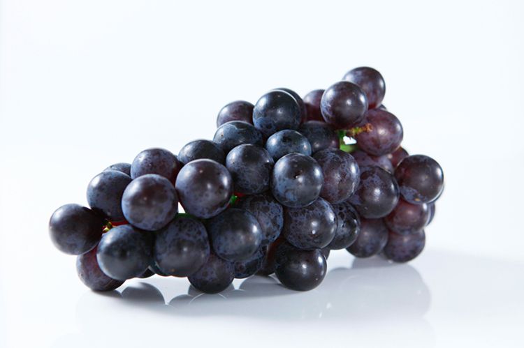 葡萄产地巨峰葡萄大量批发,最新巨峰葡萄报价