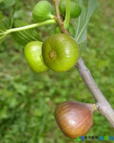 不同年龄段的童年回忆,你们的童年回忆是什么样
