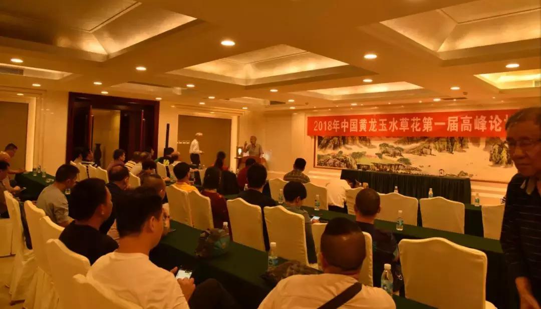 黄龙玉水草花亮点,顶级黄龙玉水草花