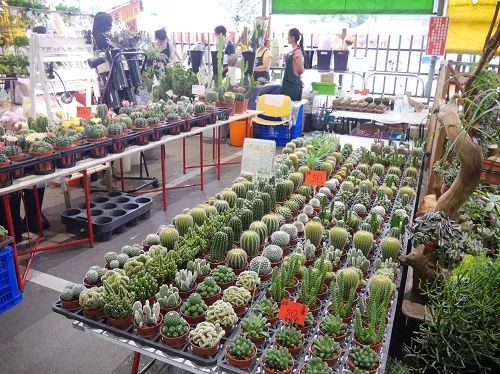 台北高架桥,台北高架