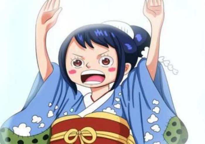 海贼王七大远古果实拥有者,海贼王所有拥有果实能力的女角色