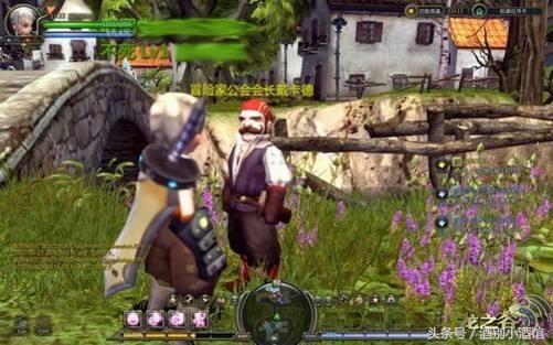 王者荣耀里的宠物英雄有哪些,盘点王者荣耀有宠物的英雄