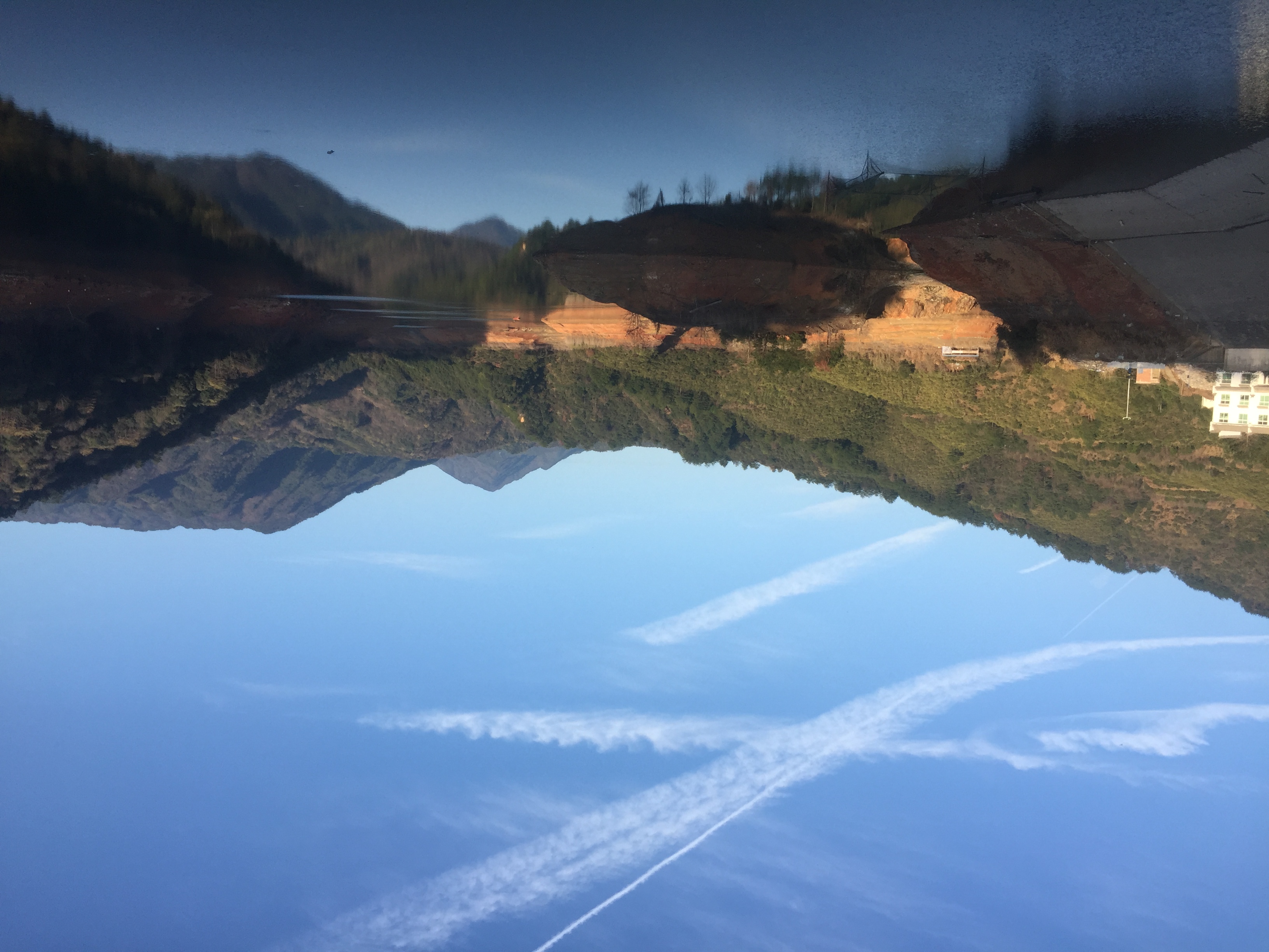 婺源绿茶品种,婺源高山绿茶价格