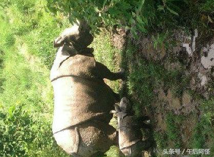 尼泊尔印度斯里兰卡穷游篇 (尼泊尔1000元穷游攻略详细版)