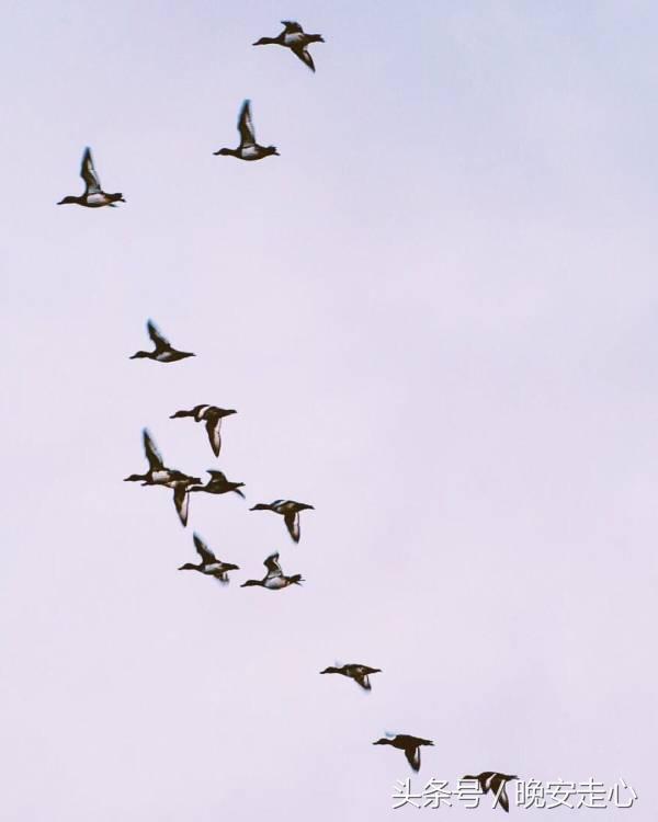 员工晨会分享正能量5分钟,晨会员工分享正能量一段话及感悟