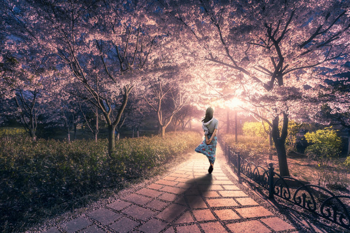 青岛属于一个什么样的城市,青岛是个怎么样的城市