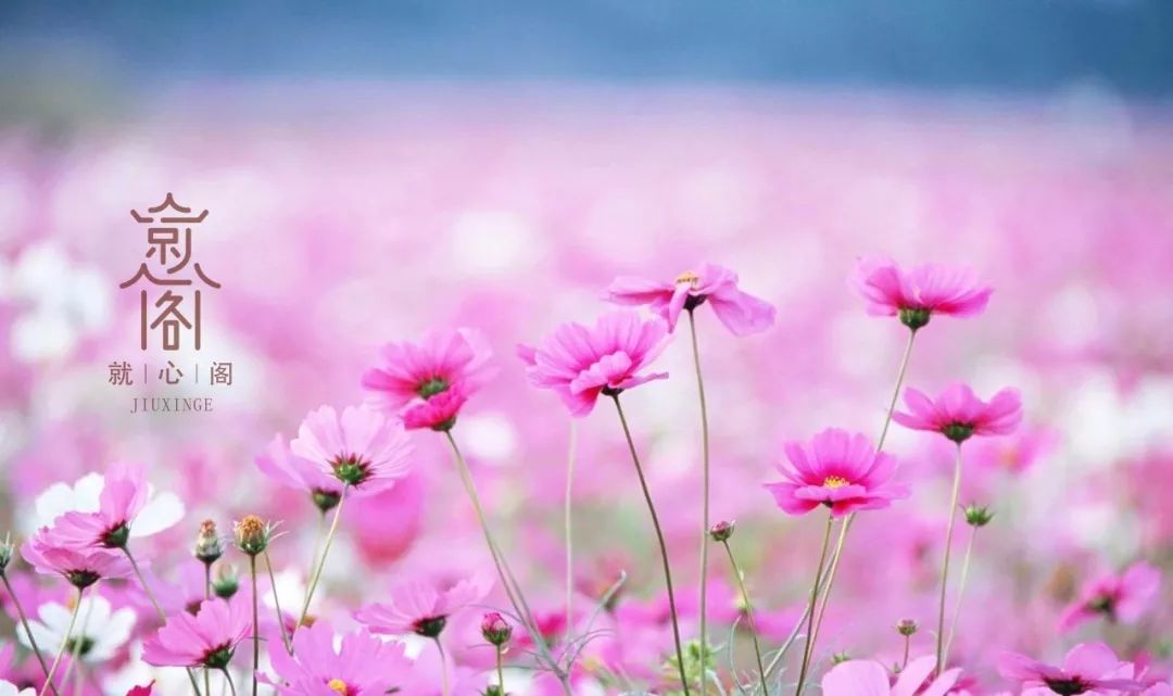 炎症与炎症反应的区别,什么叫炎症刺激