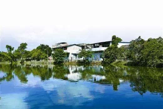 田园东方赚钱吗,田园东方的成功之处