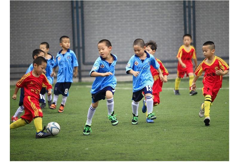 巴西为什么无缘2026年世界杯,世界杯巴西目前现状