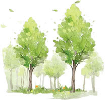 不动手术有哪些隆鼻方法,不动刀的隆鼻好方法