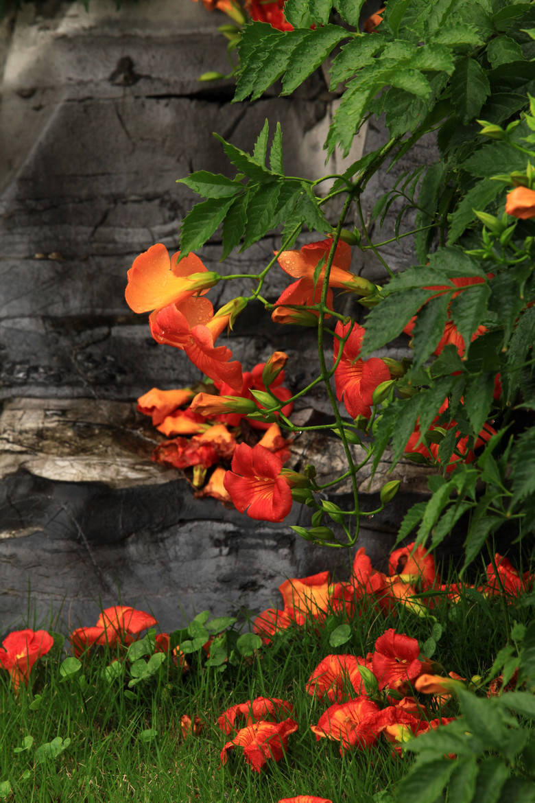 如果小人避不开，请务必做到这3点，你将受益很多！