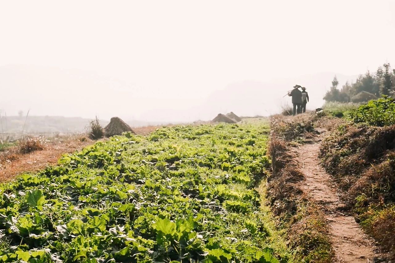 一个失业大叔，用1500元拍下自己幸福的父母，豆瓣9.2分！