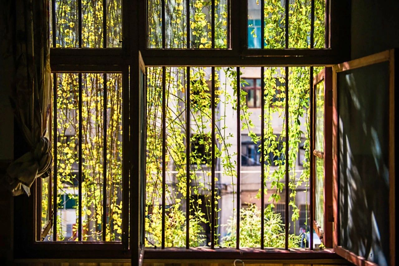 一个失业大叔，用1500元拍下自己幸福的父母，豆瓣9.2分！