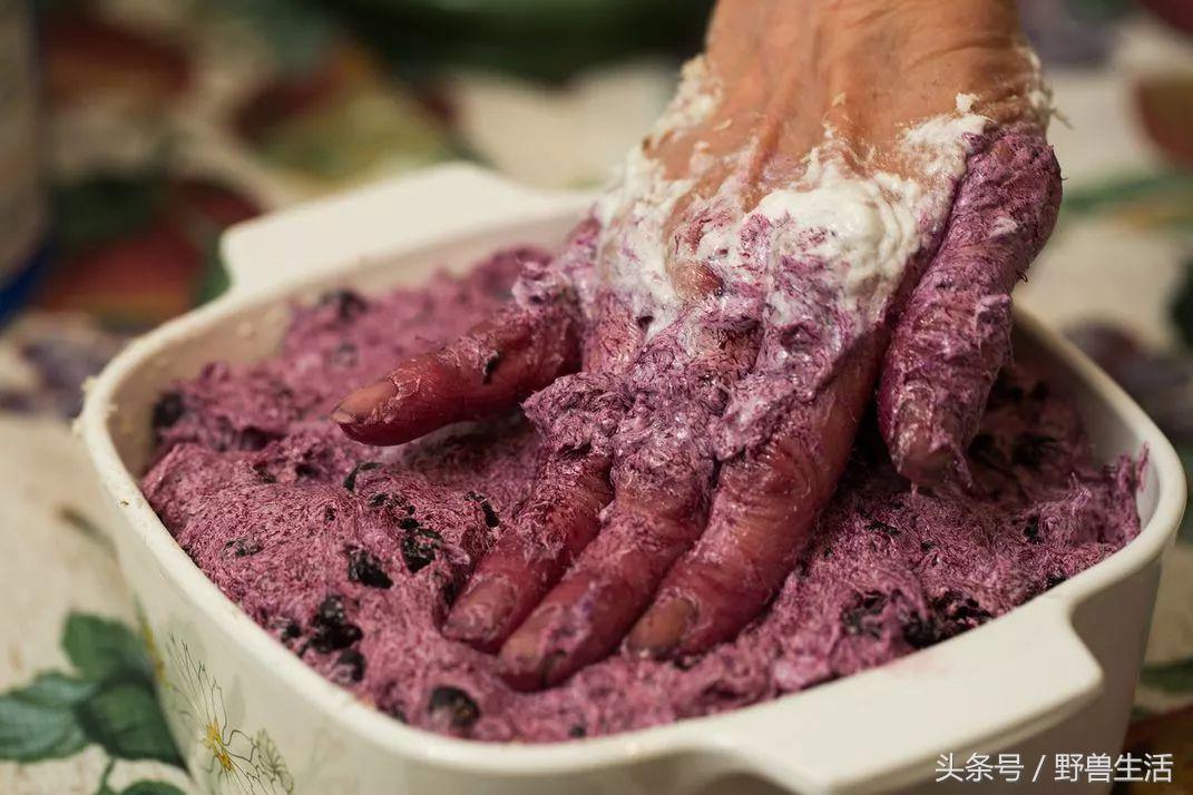 世界上最值得去的秘境,世界上南端的一处秘境