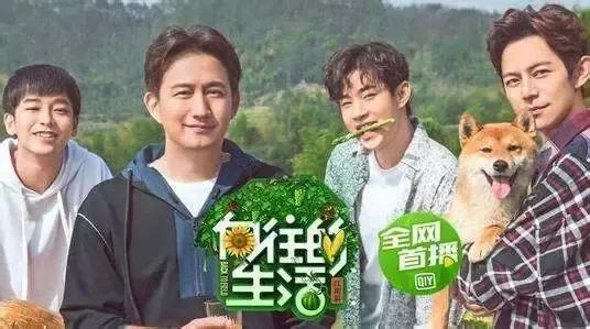 夏日好剧推荐计划一起追剧,周末追剧推荐指南青春偶像剧