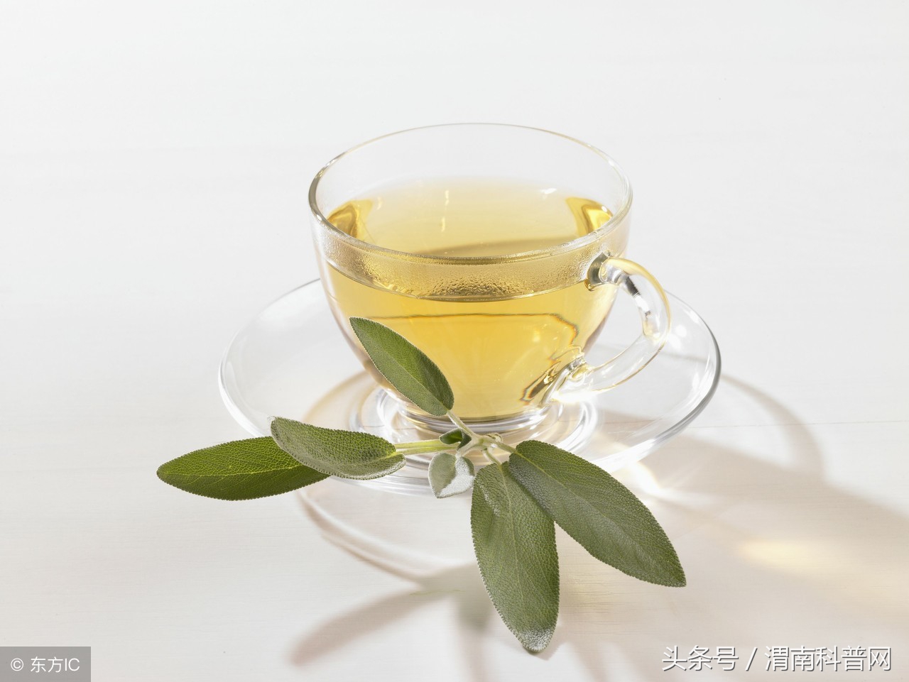 一味良药一味苦药,良药苦口利于病吃点苦