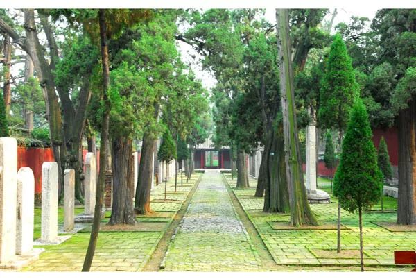 这位明代监察御史拜谒孟庙，留下了怎样的慨叹