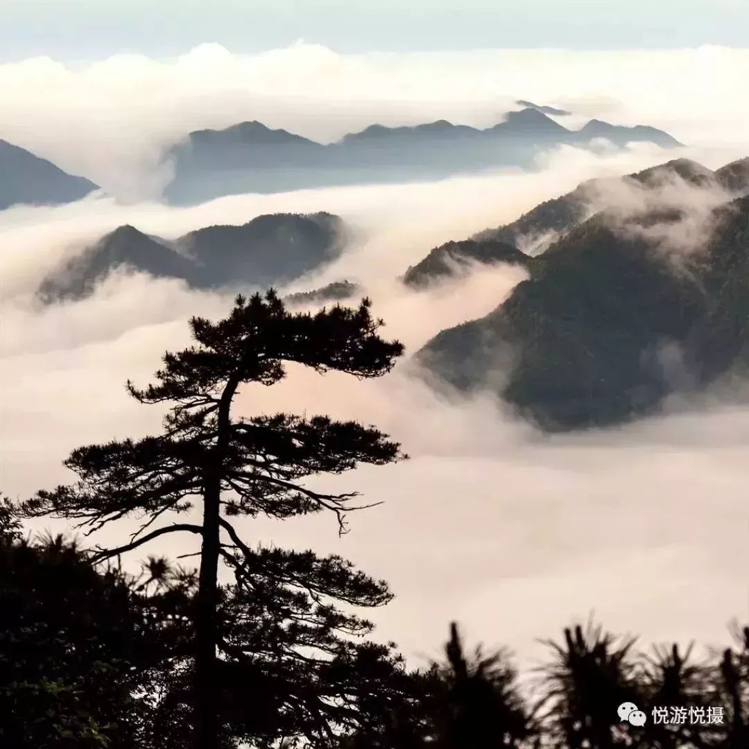 三清一绝“巨蟒出山”的文化底蕴与民族尊严