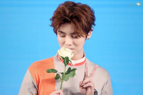 微信腾讯公众号怎么申诉,微信公众号登录失败怎么回事