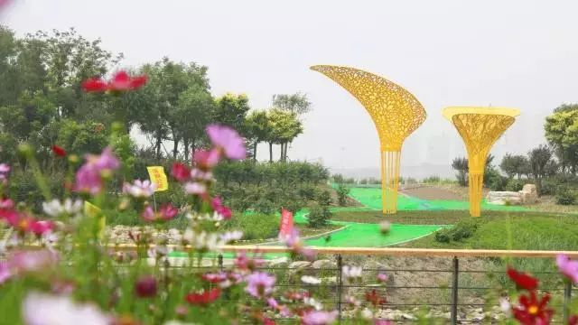 又多又好玩的旅游地方,又大又好玩的公园