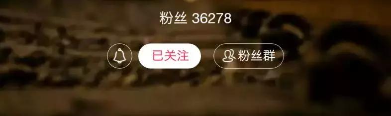 淘宝直播一天收入,淘宝直播不带货靠什么赚钱