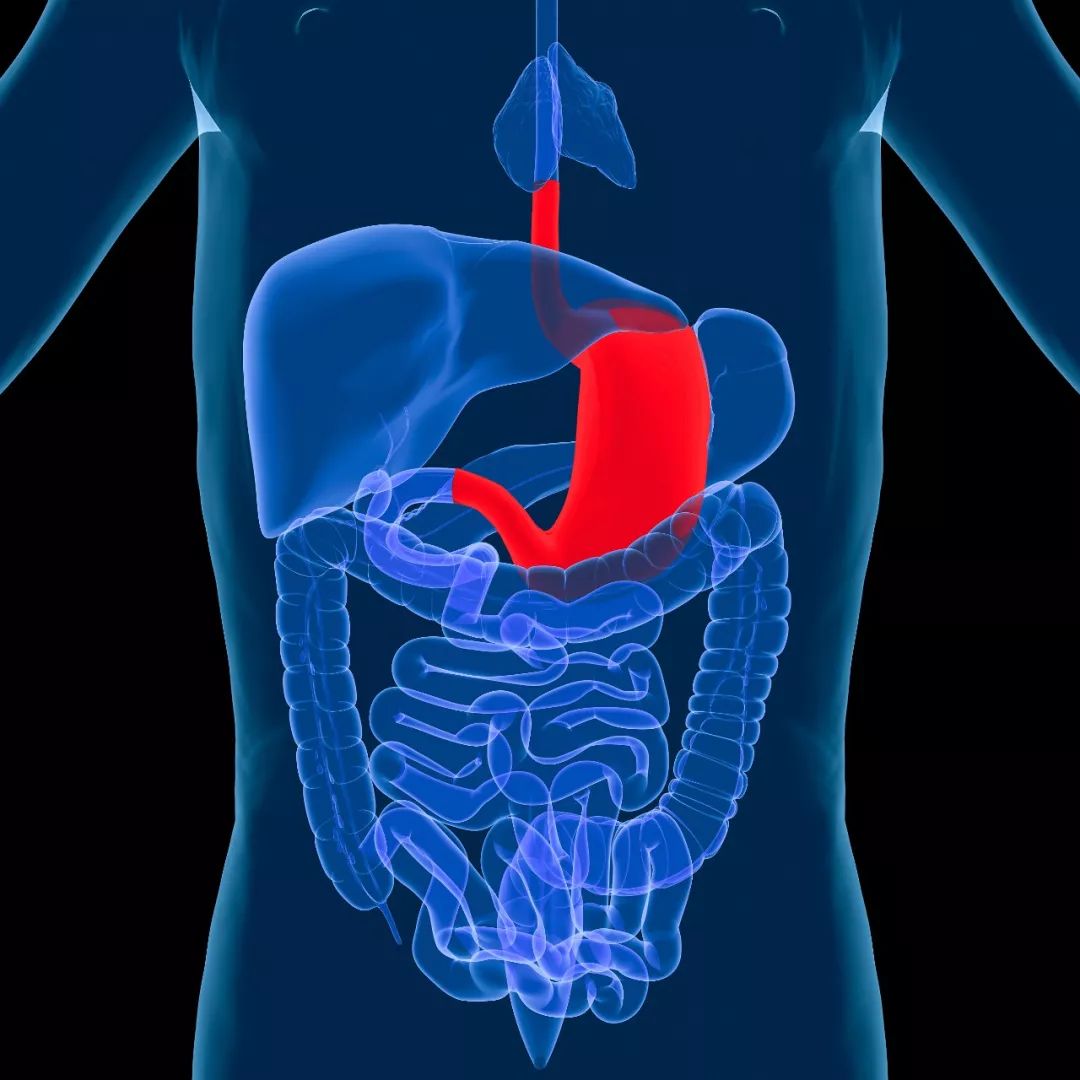 喝冷饮伤胃以后怎么调理,健康人吃冰解暑对身体有害吗