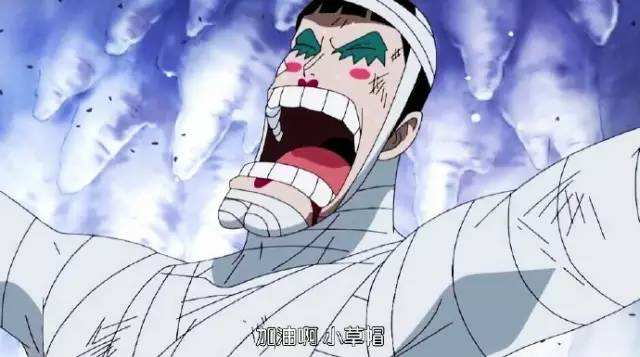 海贼王五大经典战役图片,海贼王娜美受伤最严重的战役