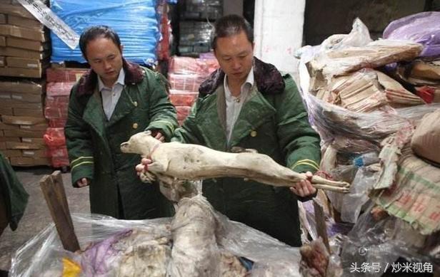 假如世界上真的有丧尸会怎样,如果世界上真的有丧尸