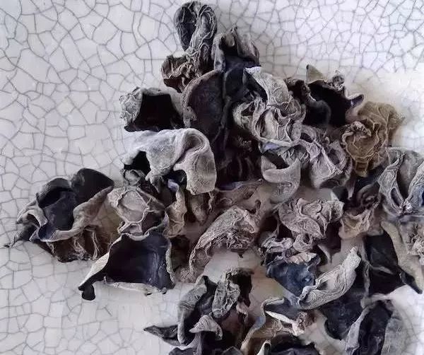 「原本卢氏」木耳怎么泡才健康