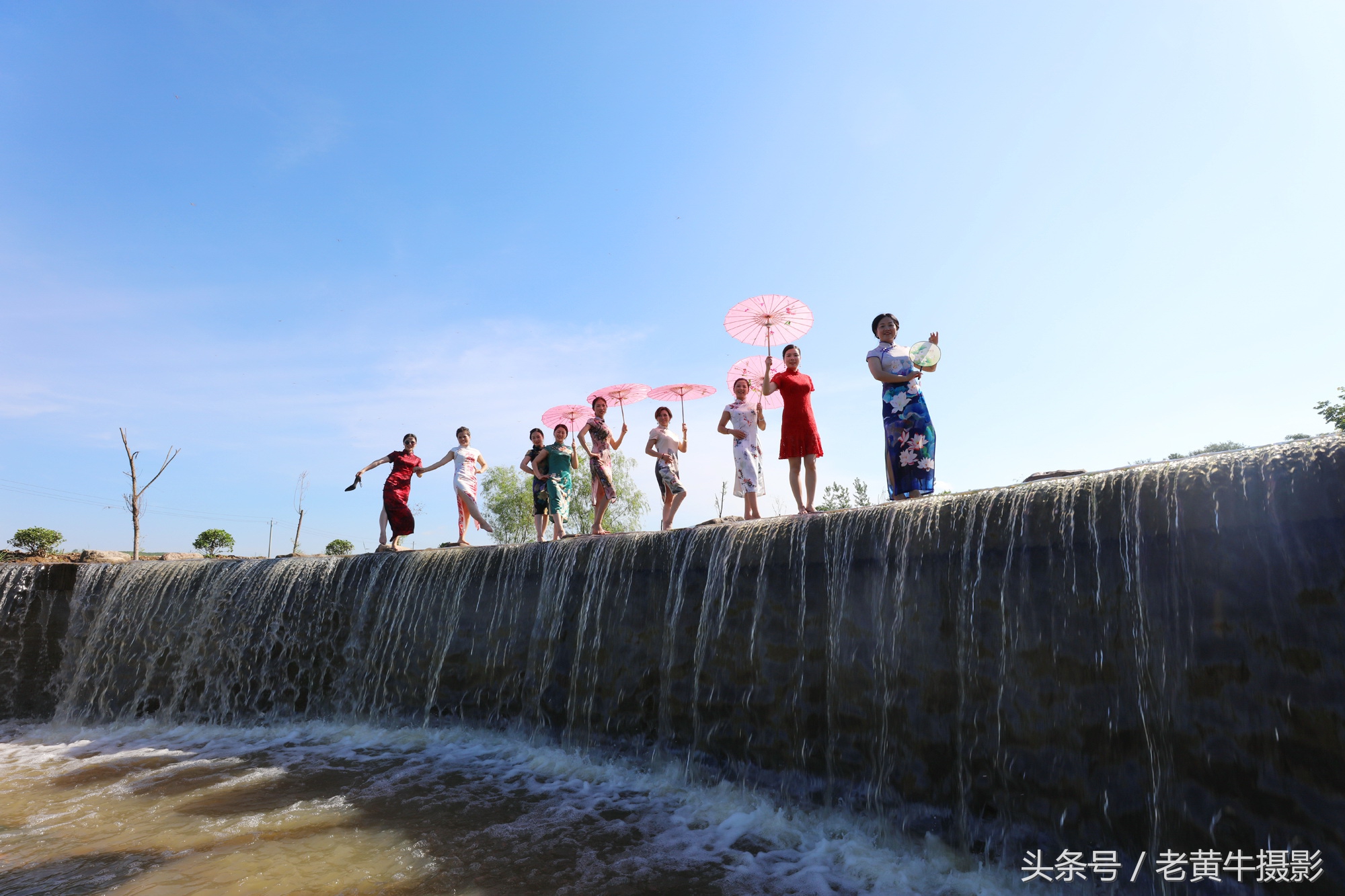 京山老年旗袍秀视频,月季园旗袍走秀