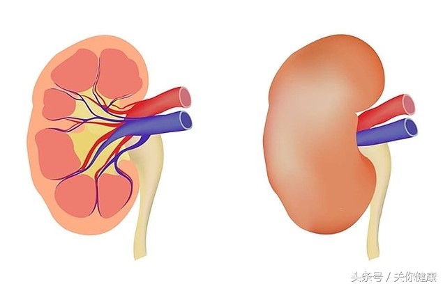 发现水肿怎么解决,肾脏病变引起的夜尿增多怎么治