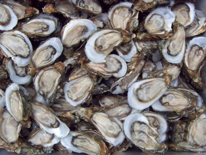 10元钱游遍全球,10块钱玩遍青岛