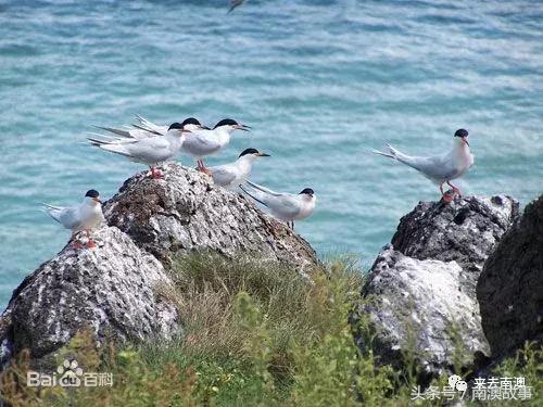 这座小岛究竟隐藏了多少秘密,一座鲜为人知的隐藏小岛
