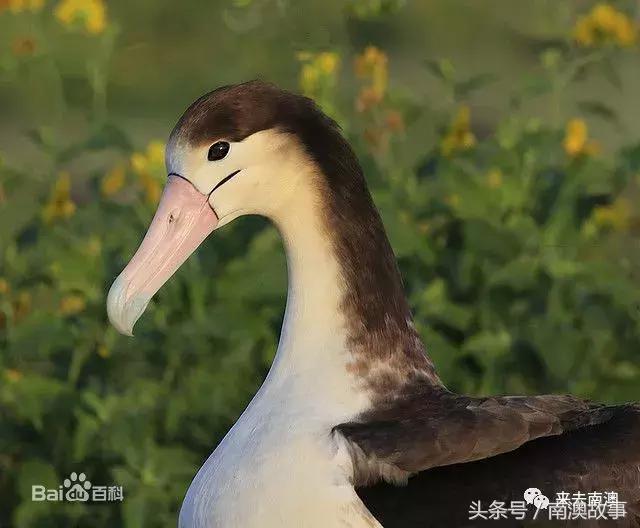 这座小岛究竟隐藏了多少秘密,一座鲜为人知的隐藏小岛