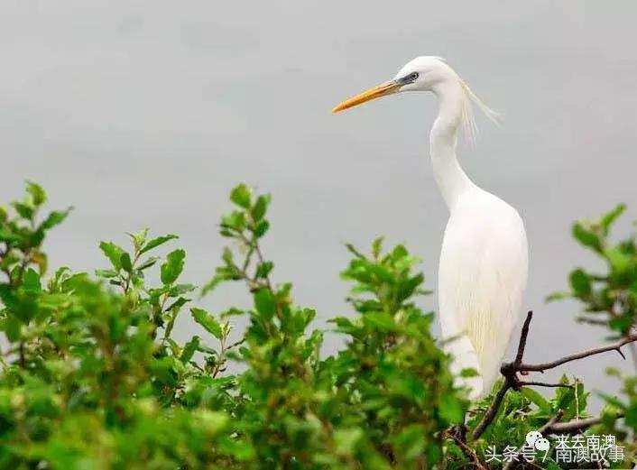 这座小岛究竟隐藏了多少秘密,一座鲜为人知的隐藏小岛