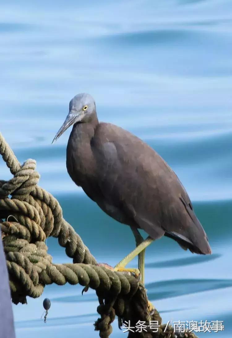 这座小岛究竟隐藏了多少秘密,一座鲜为人知的隐藏小岛