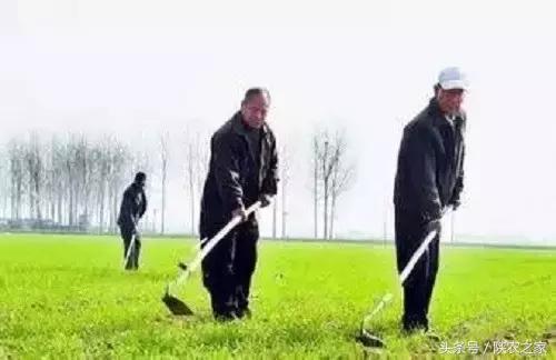 农村种地顺口溜希望朋友们喜欢,现在农民难种地苦的顺口溜