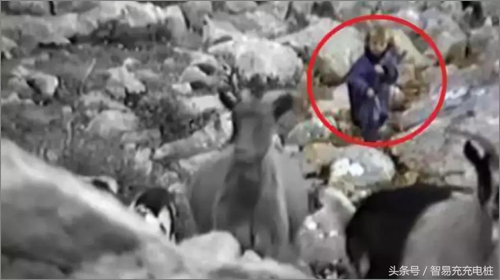 这就是我喜欢它的原因用英语说,这就是我喜欢体育的原因