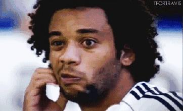 法国队夺冠经历,法国队夺冠反应